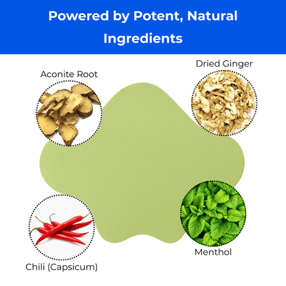 Sciatica Back Pain Relief Patches (12pcs)